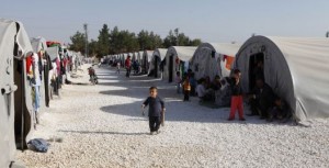 kobane_flüchtlinge